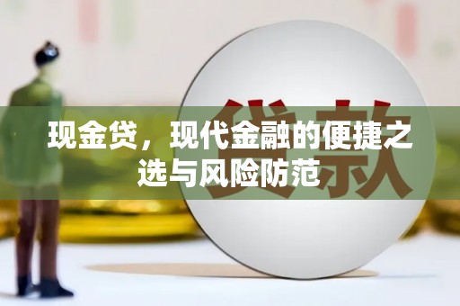 普安现金贷，现代金融的便捷之选与风险防范