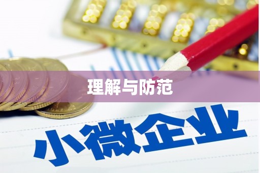 金安理解与防范